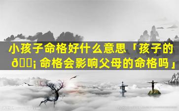 小孩子命格好什么意思「孩子的 🐡 命格会影响父母的命格吗」